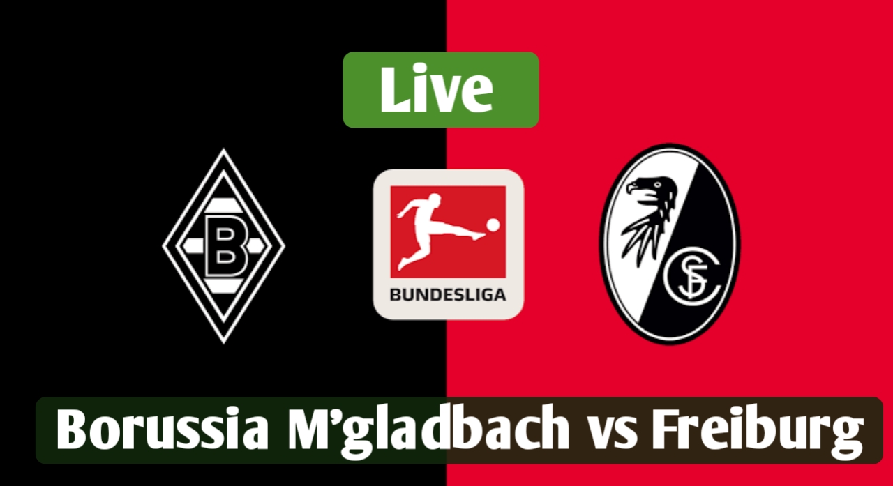 Germany - Bundesliga Live 3