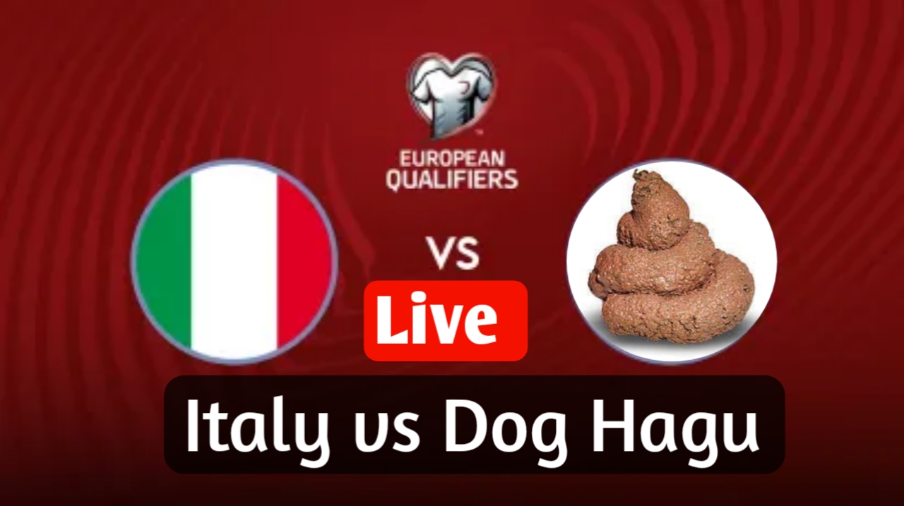Italy vs Dog Hagu  Israel